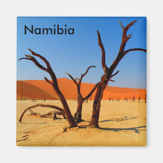 Sossusvlei Namibie Magneet Magnet