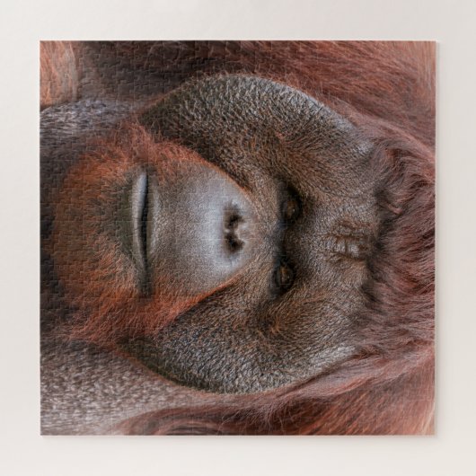 Soul Beneath the Flanges – Orangutan Face Puzzle (Horizontal)