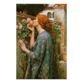 Soul der Rose vor Raphaelite CC1003 Poster (Vorderseite)
