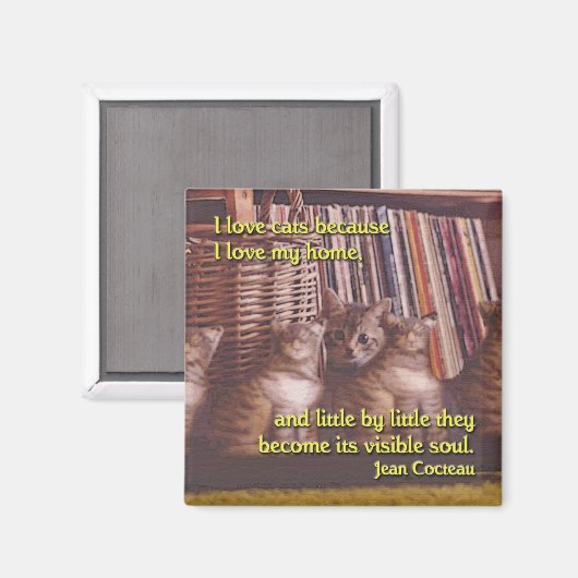 Soul einer Zuhause Cat Magnet (Vorderseite/Rückseite)