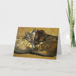 Soul-Kameraden Karte