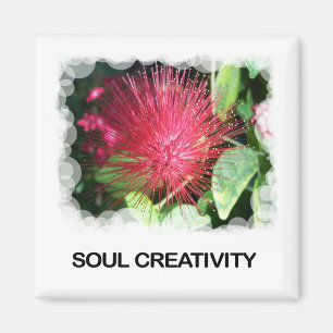 Soul-Kreativitäts-Magnet Magnet
