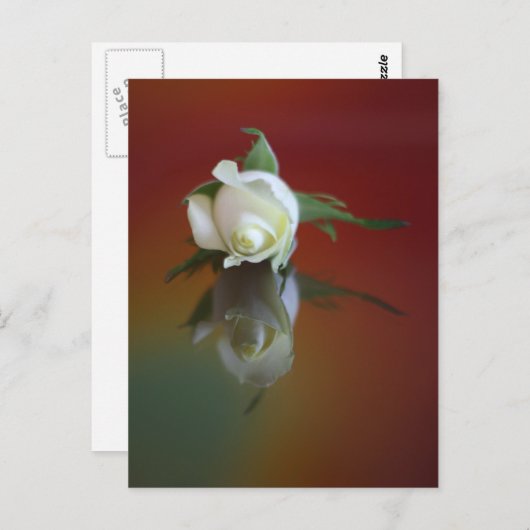 Soul Mate Postkarte (Vorne/Hinten)