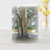 Soul Mates Karte (Gelbe Blume)