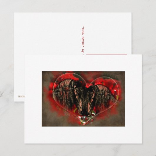 Soul Mates - Postkarte (Vorne/Hinten)