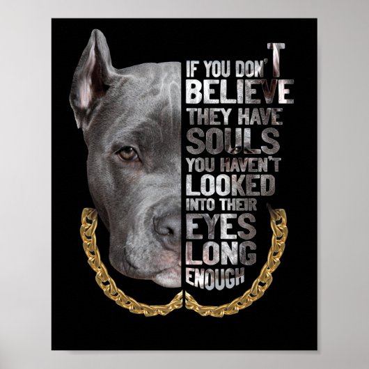 Soul Pitbull I Liebe Pitbull Dog Lover Poster (Vorne)