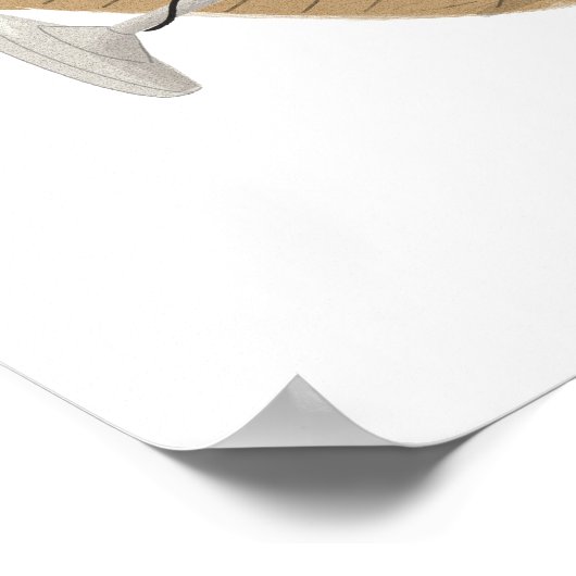 Soul Star Poster (Ecke)