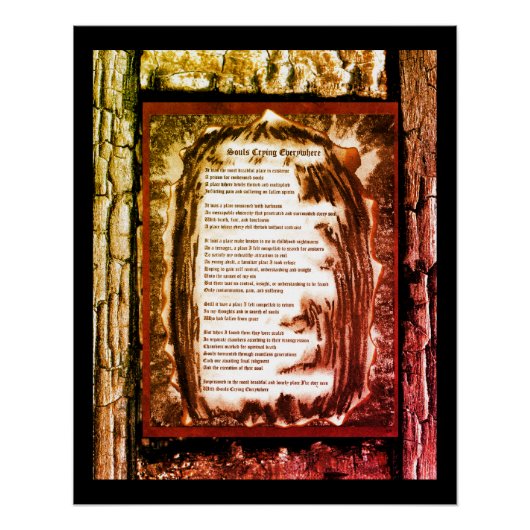 Soule, die überall weinen poster (Vorderseite)