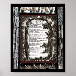 Soule, die überall weinen poster