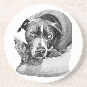 Soulful October Pup Getränkeuntersetzer