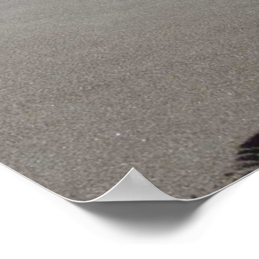 Soulmate Footprints Together in Sand Poster (Ecke)