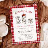 Sound der Alarm Firefighter Baby-Dusche Einladung