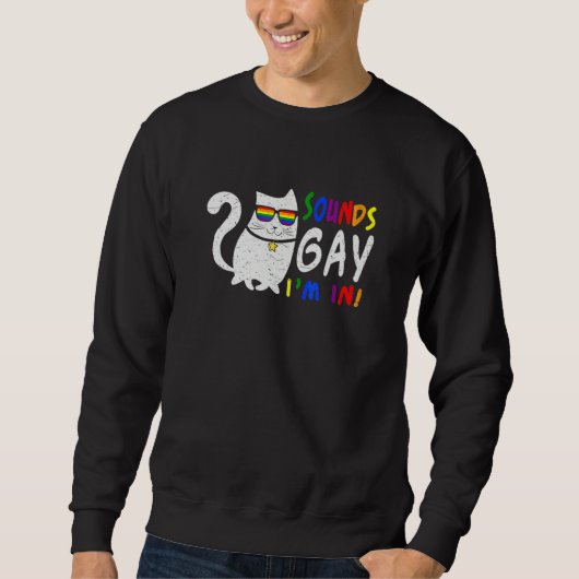 Sounds Gay I Am In Chonk Cat Kitty LGB Pride Rain Sweatshirt (Vorderseite)