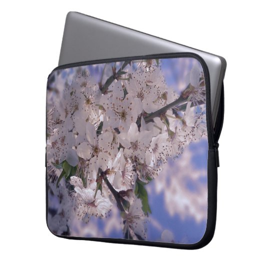 Sour Cherry Tree Blue Sky Laptopschutzhülle (Vorderseite Links)