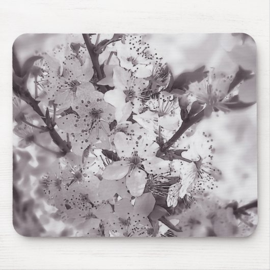 Sour Cherry Tree Schwarz-Weiß Mousepad (Vorne)