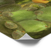 Sour Grapes Kunstrasen Poster (Ecke)