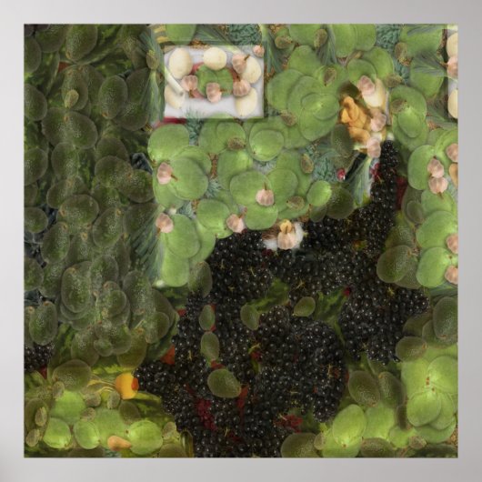 Sour Grapes Kunstrasen Poster (Vorne)