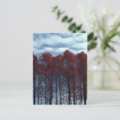 Sourwood Baumpostkarte Postkarte (Stehend Vorderseite)