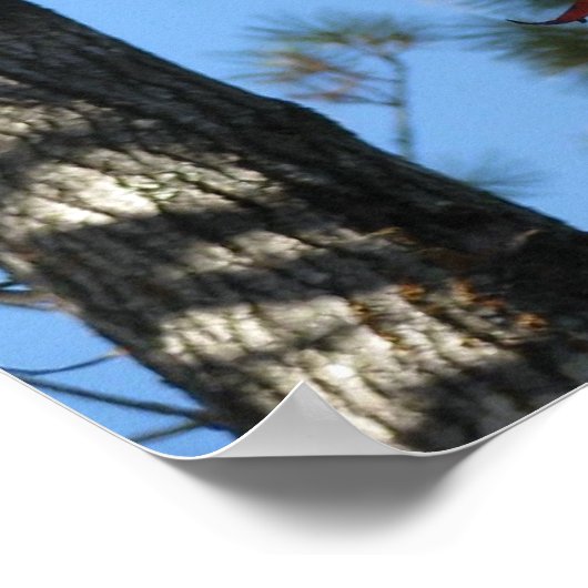 Sourwood-Blätter im Herbst Poster (Ecke)