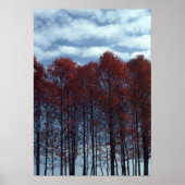 Sourwood Trees Picture Poster (Vorne)