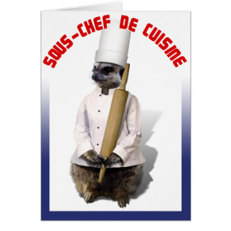 SOUS - KOCH DE CUISINE