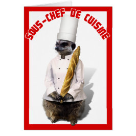 SOUS - KOCH DE CUISINE