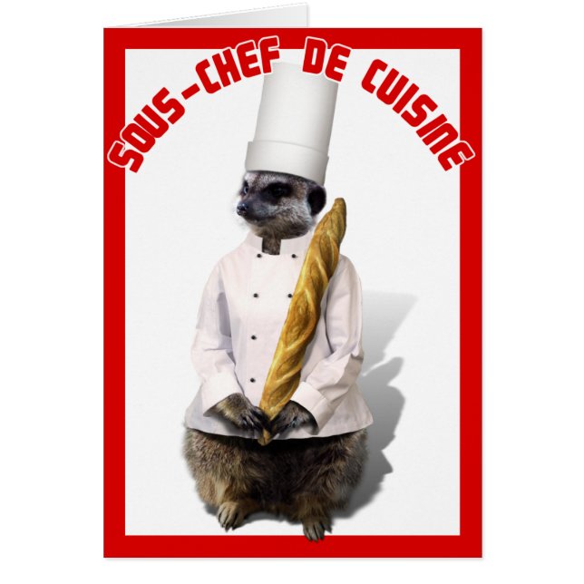 SOUS - KOCH DE CUISINE (Vorne)