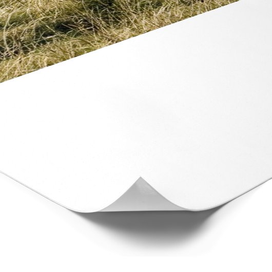 Souter Lighthouse Print Poster (Ecke)