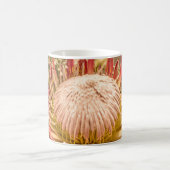 South Africa King Protea Tasse (Mittel)