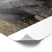 South African Baby Elephant Poster (Ecke)