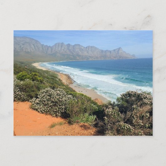 South African Coast Postkarte (Vorderseite)