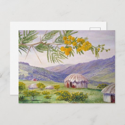 South African Doornboom, Marianne North Artist Postkarte (Vorne/Hinten)
