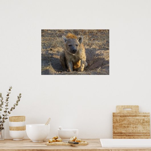 South African Hyena Poster (Küche)