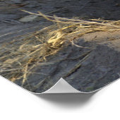 South African Hyena Poster (Ecke)