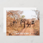 South African Safari Postkarte (Vorne/Hinten)