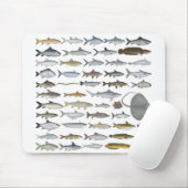 South Asia Freshwater Fish Group Mousepad (Mit Mouse)