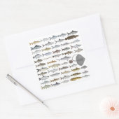 South Asia Freshwater Fish Group Quadratischer Aufkleber (Umschlag)