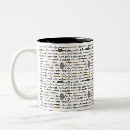 South Asia Freshwater Fish Group Zweifarbige Tasse (Links)