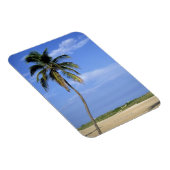 South Beach, Miami Beach, Florida, USA Magnet (Rechte Seite)