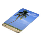 South Beach, Miami Beach, Florida, USA Magnet (Linke Seite)