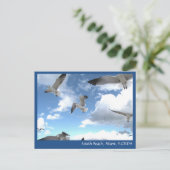 South Beach Miami Florida Seagulls Postkarte (Stehend Vorderseite)