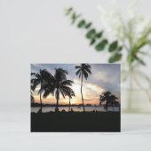 South Beach, Miami Palm Trees bei Sunset Postcard Postkarte (Stehend Vorderseite)