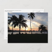 South Beach, Miami Palm Trees bei Sunset Postcard Postkarte (Vorne/Hinten)
