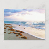 South Beach Miami Postkarte (Vorderseite)