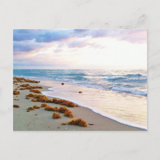 South Beach Miami Postkarte (Vorderseite)