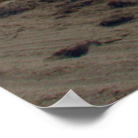 South Beach Poster (Ecke)