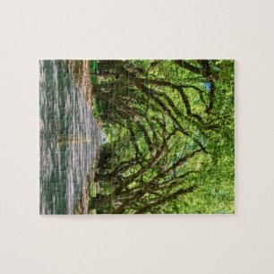 South Boundary Green Glow Puzzle