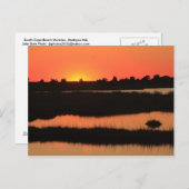 South Cape Beach Marshes bei Sunset Mashpee Cape C Postkarte (Vorne/Hinten)