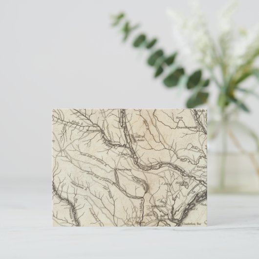 South Carolina 4 Postkarte (Stehend Vorderseite)