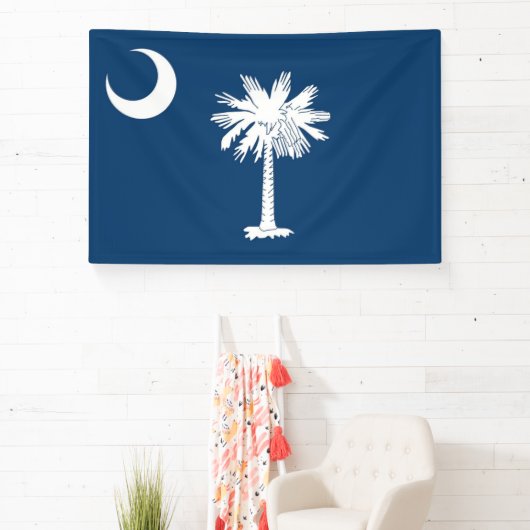 South Carolina Banner (InSitu)